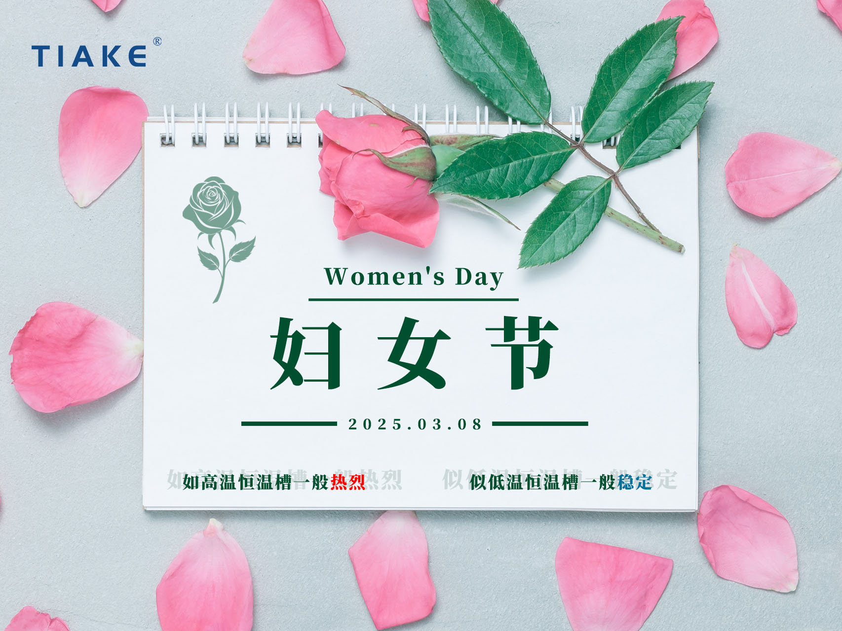 無需借光而行，我亦是星辰?！暇┨炜谱Ｋ信裕窆?jié)，做自己的大女主！